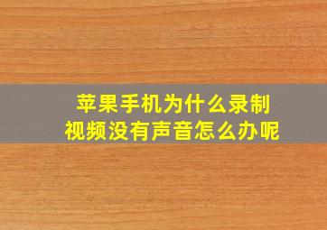 苹果手机为什么录制视频没有声音怎么办呢