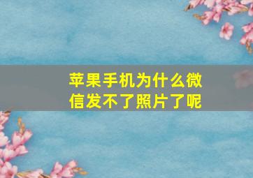 苹果手机为什么微信发不了照片了呢