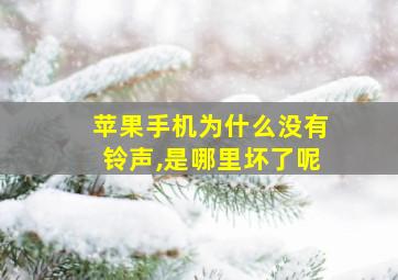 苹果手机为什么没有铃声,是哪里坏了呢