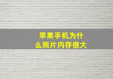 苹果手机为什么照片内存很大