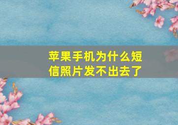 苹果手机为什么短信照片发不出去了