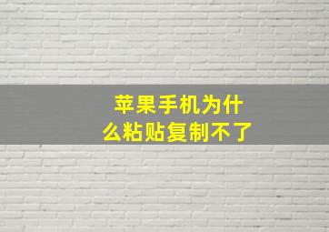 苹果手机为什么粘贴复制不了