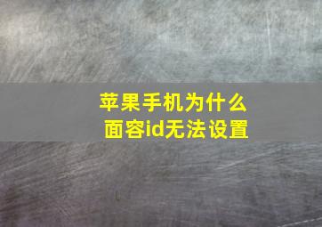 苹果手机为什么面容id无法设置