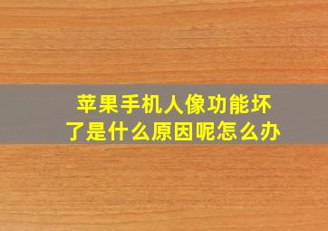 苹果手机人像功能坏了是什么原因呢怎么办