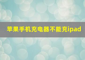 苹果手机充电器不能充ipad