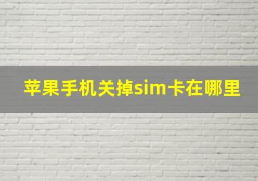 苹果手机关掉sim卡在哪里