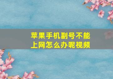 苹果手机副号不能上网怎么办呢视频