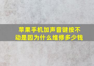 苹果手机加声音键按不动是因为什么维修多少钱