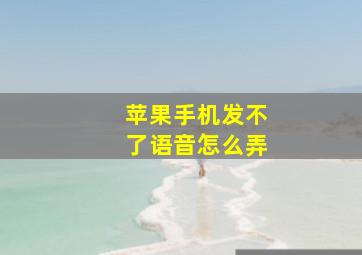 苹果手机发不了语音怎么弄