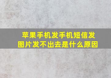 苹果手机发手机短信发图片发不出去是什么原因