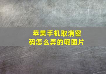 苹果手机取消密码怎么弄的呢图片