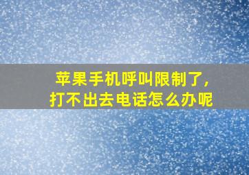 苹果手机呼叫限制了,打不出去电话怎么办呢