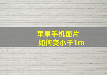 苹果手机图片如何变小于1m