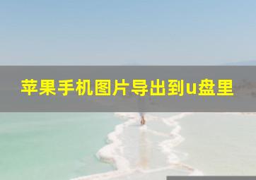 苹果手机图片导出到u盘里