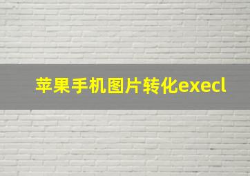 苹果手机图片转化execl