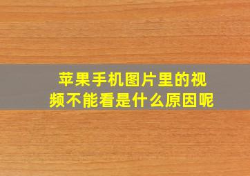 苹果手机图片里的视频不能看是什么原因呢