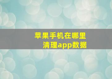 苹果手机在哪里清理app数据