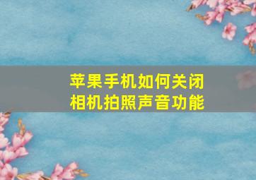 苹果手机如何关闭相机拍照声音功能