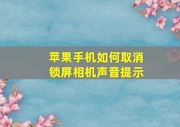 苹果手机如何取消锁屏相机声音提示