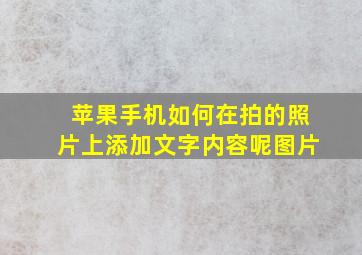 苹果手机如何在拍的照片上添加文字内容呢图片