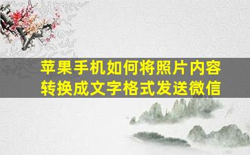 苹果手机如何将照片内容转换成文字格式发送微信