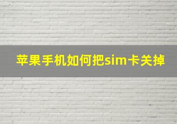 苹果手机如何把sim卡关掉