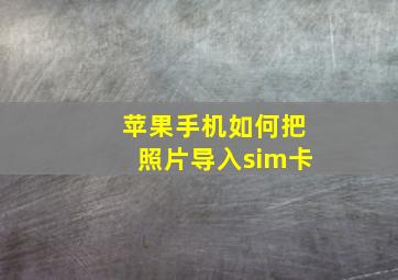 苹果手机如何把照片导入sim卡