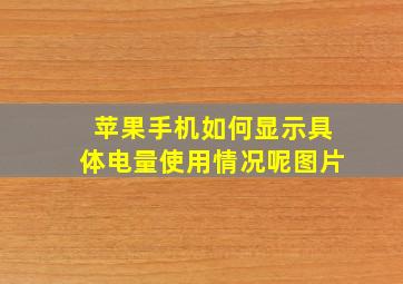 苹果手机如何显示具体电量使用情况呢图片