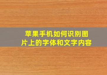 苹果手机如何识别图片上的字体和文字内容