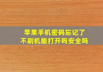 苹果手机密码忘记了不刷机能打开吗安全吗