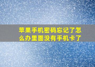 苹果手机密码忘记了怎么办里面没有手机卡了