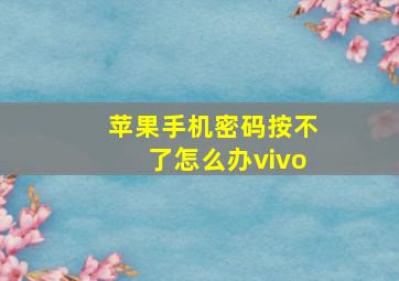 苹果手机密码按不了怎么办vivo