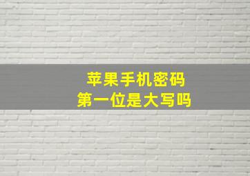 苹果手机密码第一位是大写吗