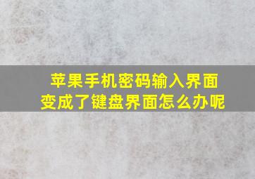 苹果手机密码输入界面变成了键盘界面怎么办呢