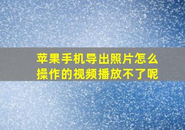 苹果手机导出照片怎么操作的视频播放不了呢