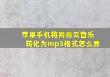 苹果手机将网易云音乐转化为mp3格式怎么弄