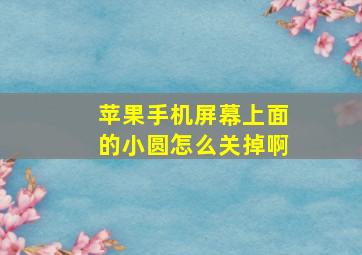 苹果手机屏幕上面的小圆怎么关掉啊