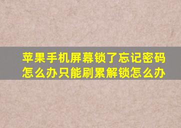 苹果手机屏幕锁了忘记密码怎么办只能刷累解锁怎么办