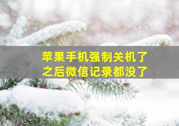 苹果手机强制关机了之后微信记录都没了