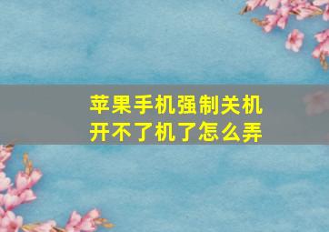 苹果手机强制关机开不了机了怎么弄