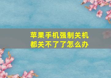 苹果手机强制关机都关不了了怎么办