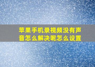 苹果手机录视频没有声音怎么解决呢怎么设置