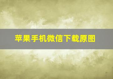 苹果手机微信下载原图