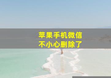 苹果手机微信不小心删除了