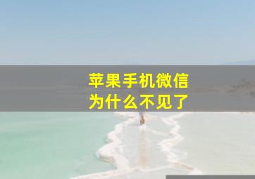 苹果手机微信为什么不见了