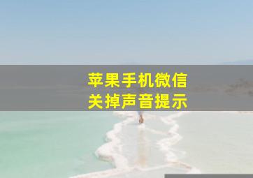 苹果手机微信关掉声音提示