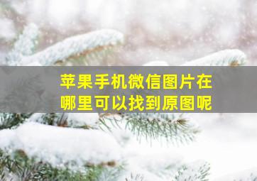 苹果手机微信图片在哪里可以找到原图呢