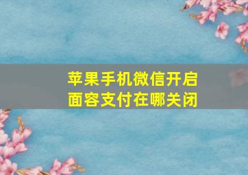 苹果手机微信开启面容支付在哪关闭