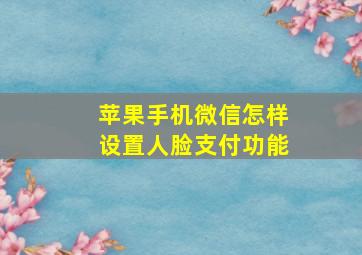 苹果手机微信怎样设置人脸支付功能