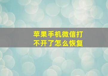 苹果手机微信打不开了怎么恢复